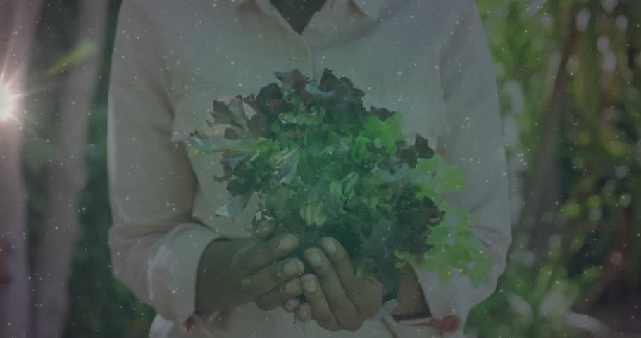Woman lowering leafy greens in garden, sparking location pin bell and camera icons for social media. Organic, wellness, lifestyle, nature, outdoor, content creation, engagement