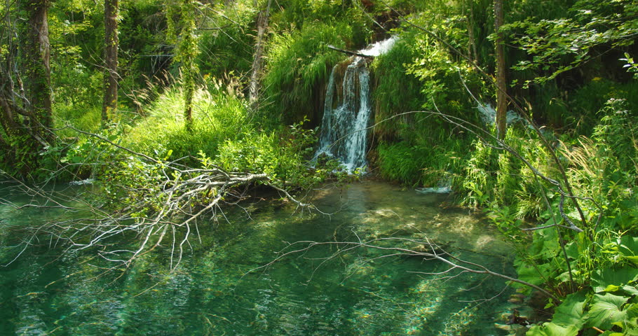 Small waterfall surrounded by vibrant green foliage in forest of Plitvice Lakes