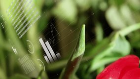 Percentages fading, panels sliding while red flower unfolding and text scrolling visualizing data. Botanical, growth, technology, analytics, nature, data visualization, progress - Powered by Shutterstock - Get 15% off with code: PIKWIZARD15