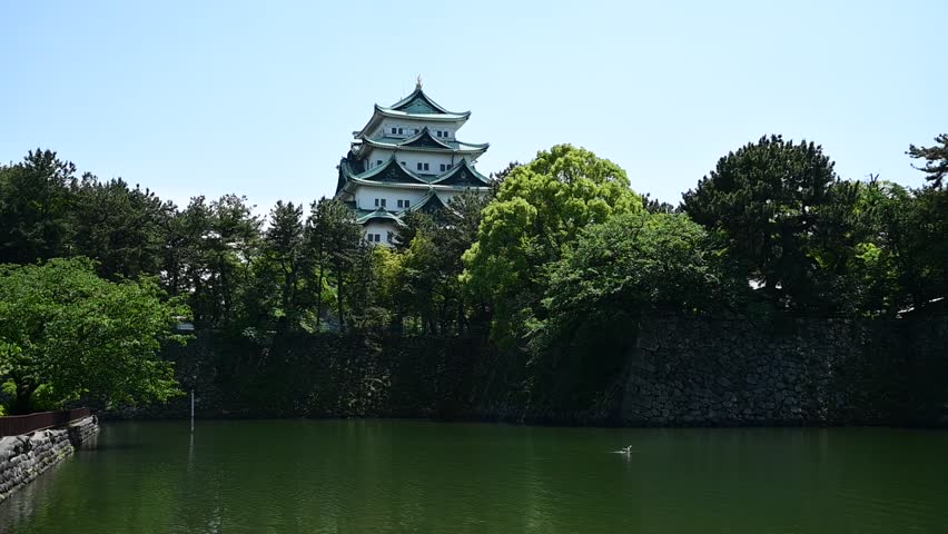 Nagoya-jo castle in early summer (NAGOYA, AICHI, 2025, May)