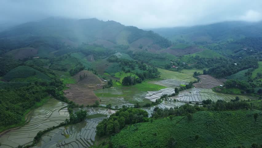 Aerial view of agricultural landscape of Thailand. Rice fields waiting to be cultivated in the countryside. Agriculture in the rainy season.