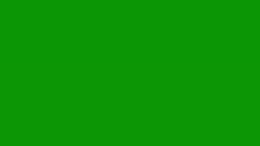 A green screen with white background and red flower on bunch of flowers teddy bears surrounded by christmas decorations group in pattern gingers it heart animated chromakey background
