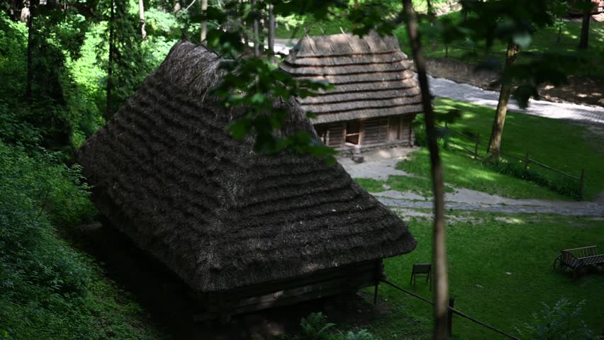Traditional Wooden Houses with Thatched Roofs Nestled in a Serene Forest Setting.