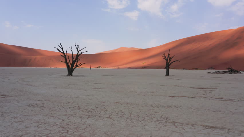 Drone flying through dead camel thorn Trees in Deadvlei, Sossusvlei, Namibia surrounded by the world