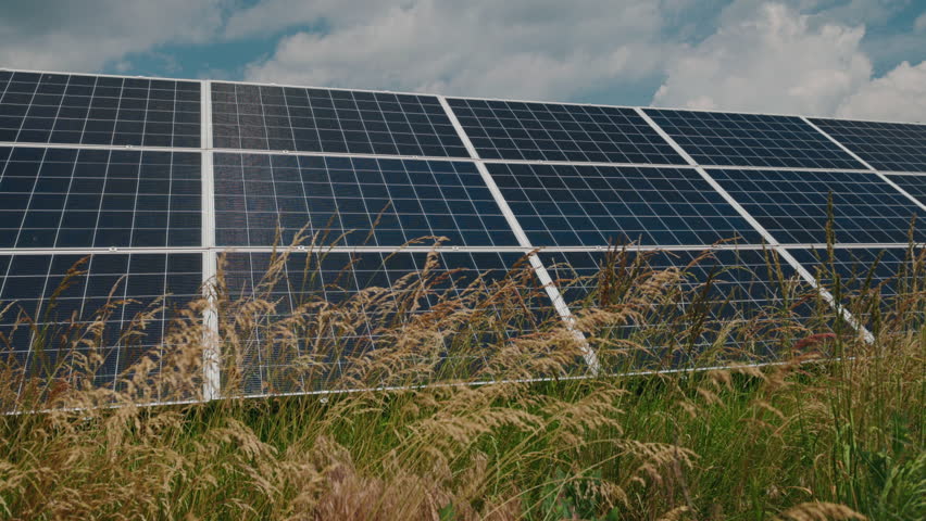 Overgrown solar power station with tall dry grass indicating lack of maintenance in renewable energy field installation. High quality 4k footage