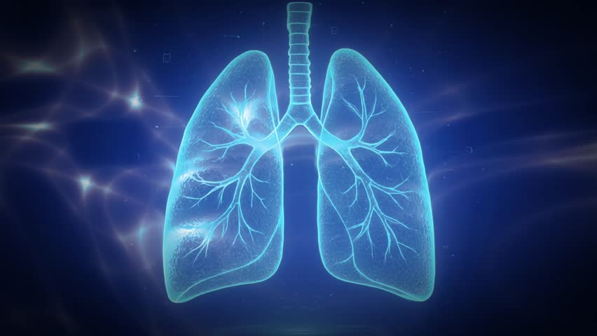 Hologram Futuristic Digital Human Lungs Scan Smog Flying Medical Technology Virtual Respiratory Diagnostics Healthcare Innovation, AI-generated art, all motion editing manually created by contributor - Powered by Shutterstock - Get 15% off with code: PIKWIZARD15