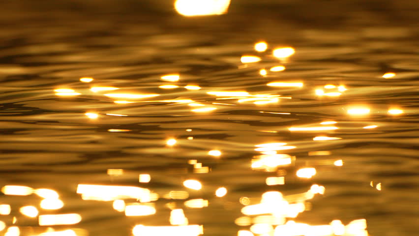 Water Sun Glare; Blurry Close-up of Golden Water Surface with Sun Reflecting