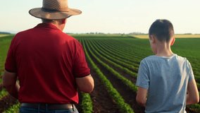 Rear view of senior farmer with his grandson walking in green soybean field examining crop at sunset. - Powered by Shutterstock - Get 15% off with code: PIKWIZARD15