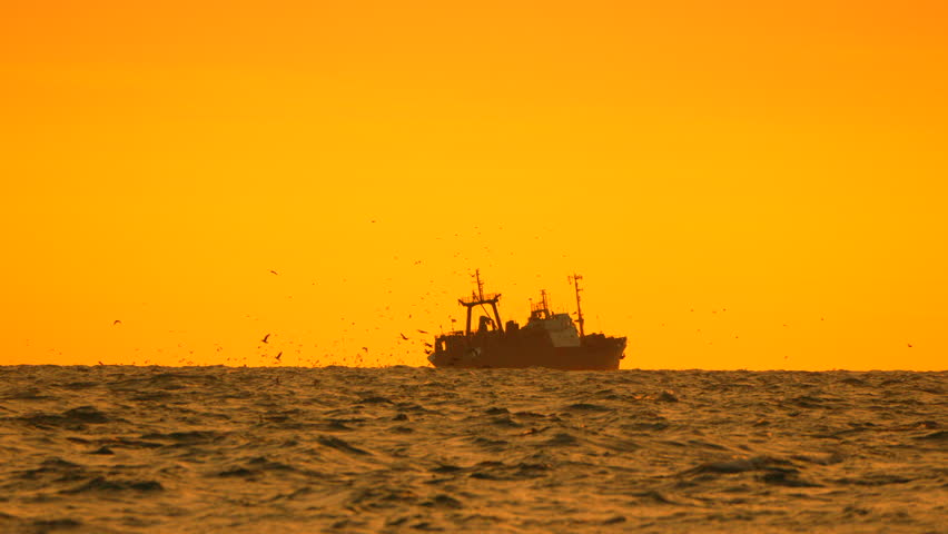 Fishing Ship Birds Sunset Ocean fishing in ocean during golden hour sunset with birds flocking around vessel.