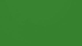 3d gold coin stock animation - Powered by Shutterstock - Get 15% off with code: PIKWIZARD15