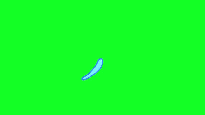 Tropical-themed animated element with bright summer vibes on green screen. Perfect for vacation intros, beach videos, or sunny promos.