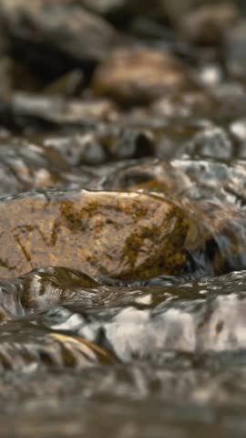 Wild mountain river. close-up. fast small mountain river with crystal clear water. Rapid water flow running through stone rapids and over the stones in wilderness area, in the forest. river rocks, roc