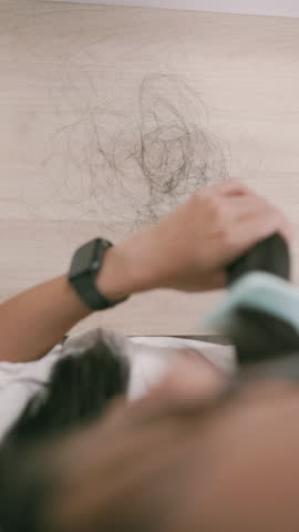 Shutterstock Video