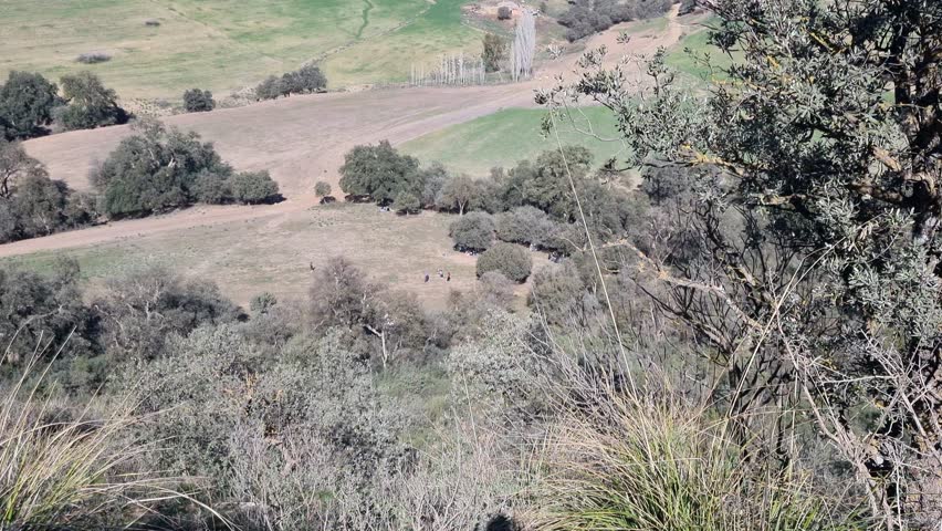 View from above the forest and hills in Algeria