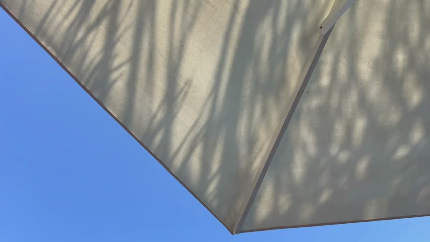 Shadow of a swaying palm tree cast on a beach umbrella in slow motion against a blue sky. Concept of tropical paradise, peaceful vacation moments, and relaxing under the sun in warm destinations