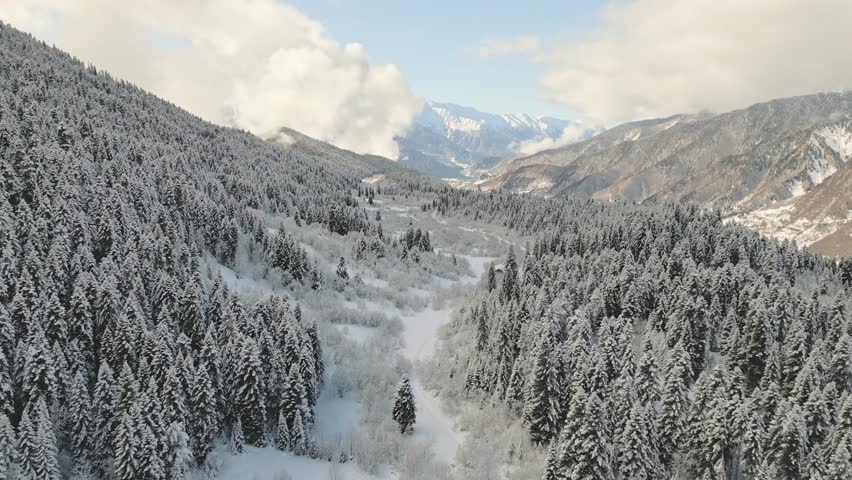 Aerial panoramic view of vast snow-covered forested gorge and distant caucasus mountains, ideal for backcountry skiing, hiking, trekking, snowshoeing and remote winter travel expeditions concept