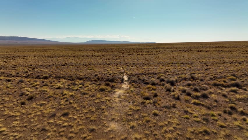 Goitered gazelles running through a vast, arid, and sparse desert landscape under a clear sky