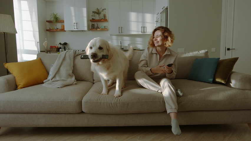 Dog brings remote to woman surfing on phone, ready for TV time
