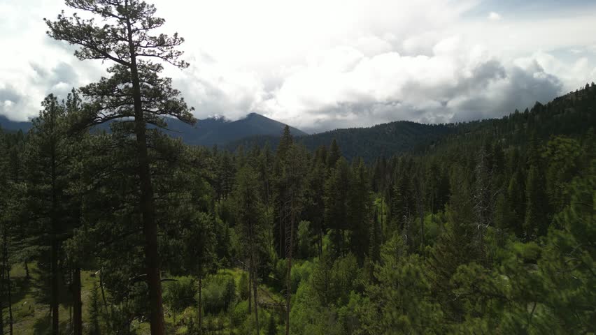 Aerial of Bitterroot National Forest in Montana in spring with dramatic cloudy sky