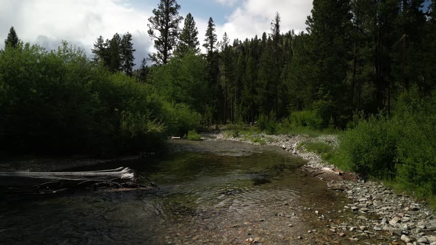 Low aerial over Overwich Creek in Bitterroot Mountain Range in Montana in summer