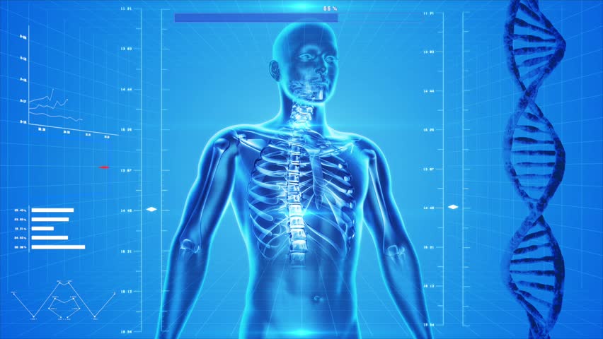 Analysis of human body, skin and skeleton, like x-ray, spinning in 360 degrees