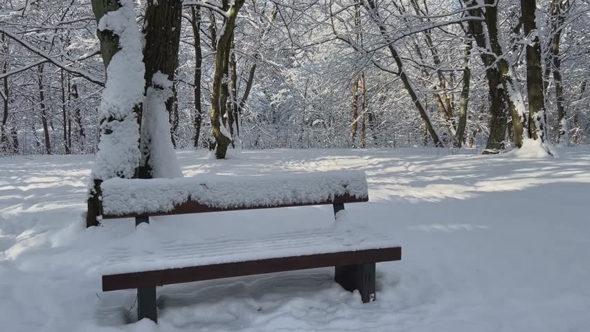 A peaceful winter scene with a snowcovered bench, surrounded by fluffy snow and bare trees, creating tranquility