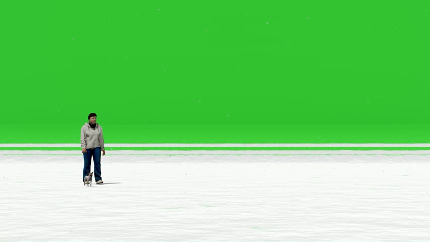 Shutterstock Video
