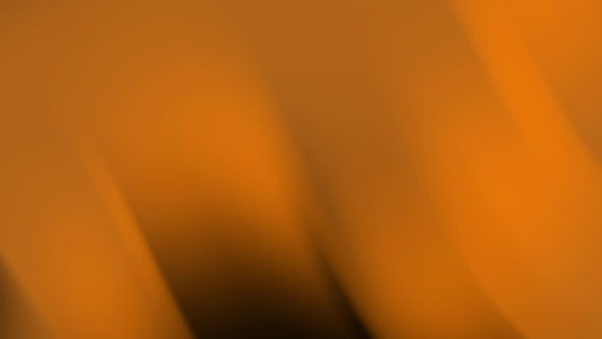 Shutterstock Video