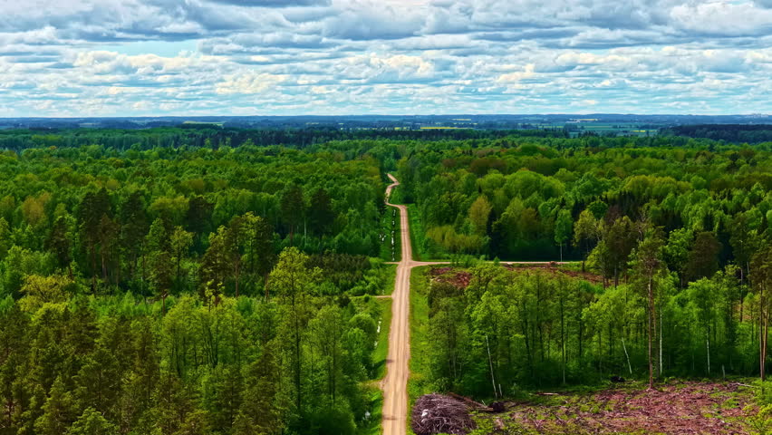 Straight forest road under cloudy sky in lush green landscape, peaceful spring mood