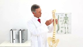 Medical professional picking up spinal model demonstrating vertebrae curvature for health education. Anatomy, education, healthcare, diagnostics, clinical, physiology, wellness - Powered by Shutterstock - Get 15% off with code: PIKWIZARD15