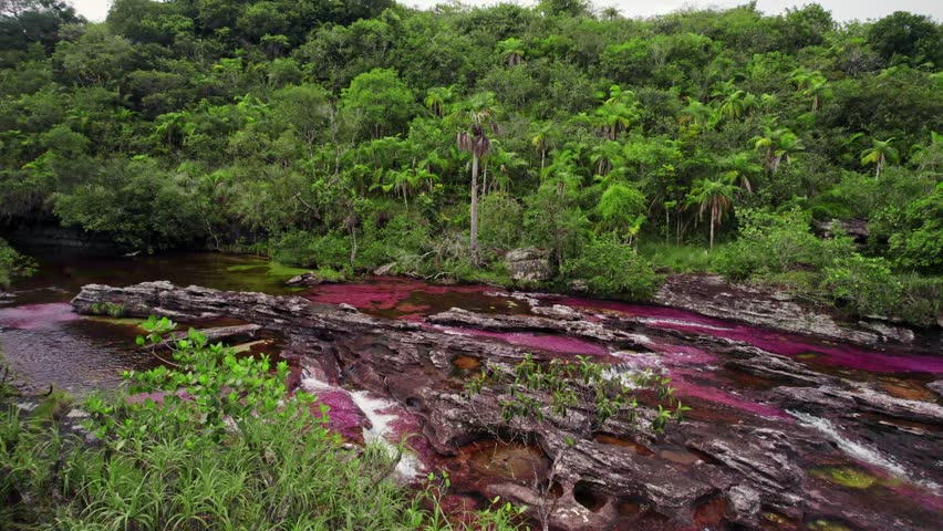 Aerial footage of Caño Cristales, often called the "River of Five Colors," located in La Macarena, Colombia.