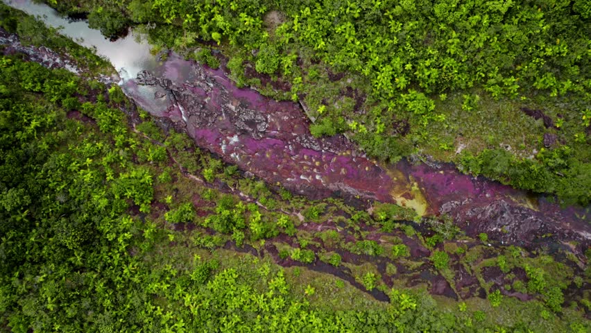 Aerial footage of Caño Cristales, often called the "River of Five Colors," located in La Macarena, Colombia.