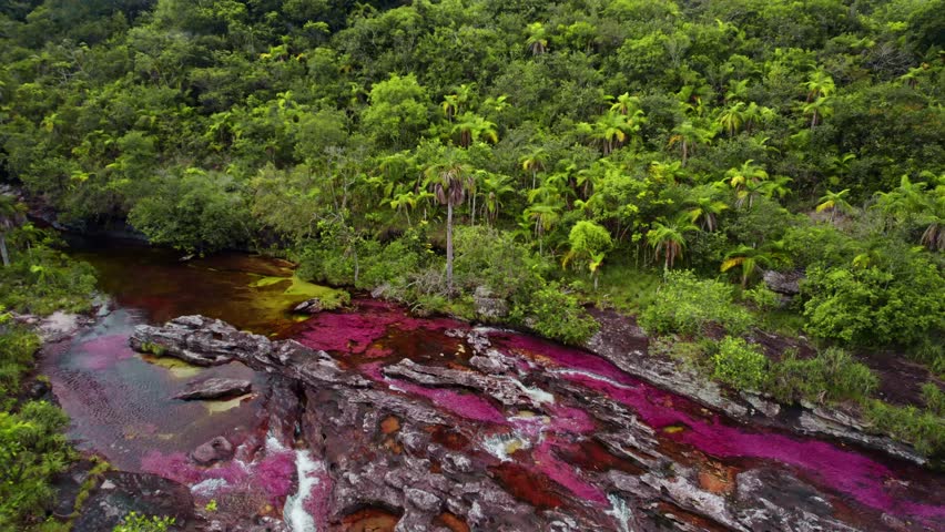 Aerial footage of Caño Cristales, often called the "River of Five Colors," located in La Macarena, Colombia.