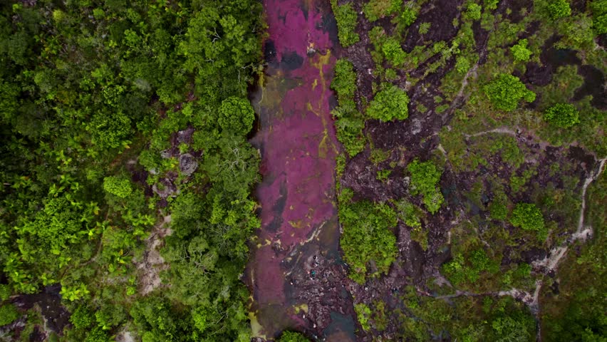 Aerial footage of Caño Cristales, often called the "River of Five Colors," located in La Macarena, Colombia.