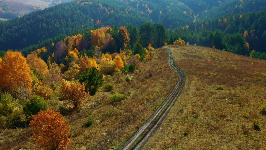 Witness the tranquil beauty of a mountainous area as vibrant autumn leaves blanket the hills. A winding path cuts through the golden foliage, showcasing nature