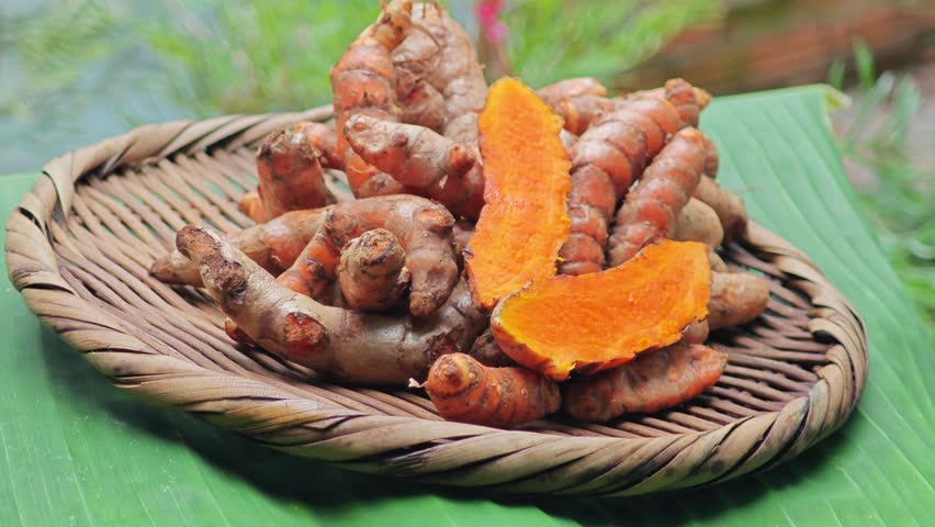 Fresh turmeric herb on background