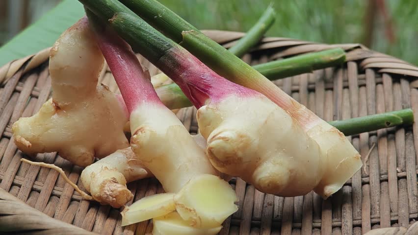 Fresh ginger herb on background