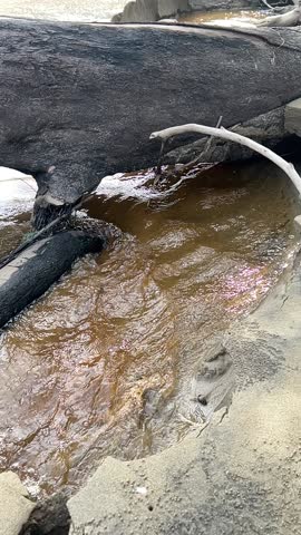 The meeting of the river mouth with the beach