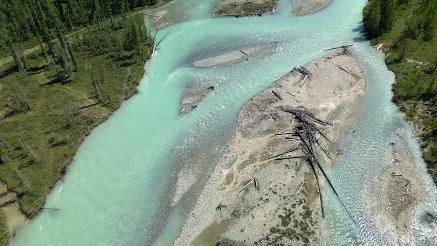 Drone footage captures a breathtaking aerial view of a winding river cutting through a dense pine forest during summer. environmental conservation, outdoor adventure, or tranquil nature backgrounds.