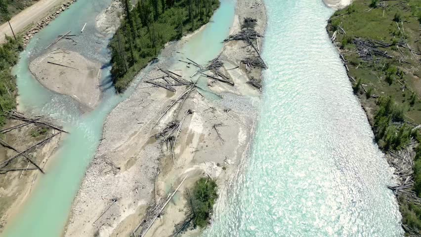 Drone footage captures a breathtaking aerial view of a winding river cutting through a dense pine forest during summer. environmental conservation, outdoor adventure, or tranquil nature backgrounds.
