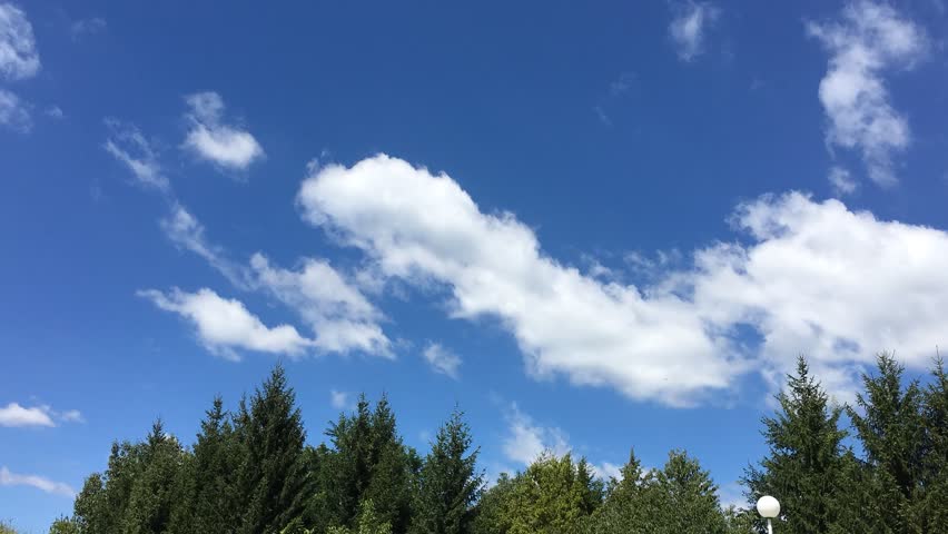 Time Lapse - Clouds drifting over a foreground of trees