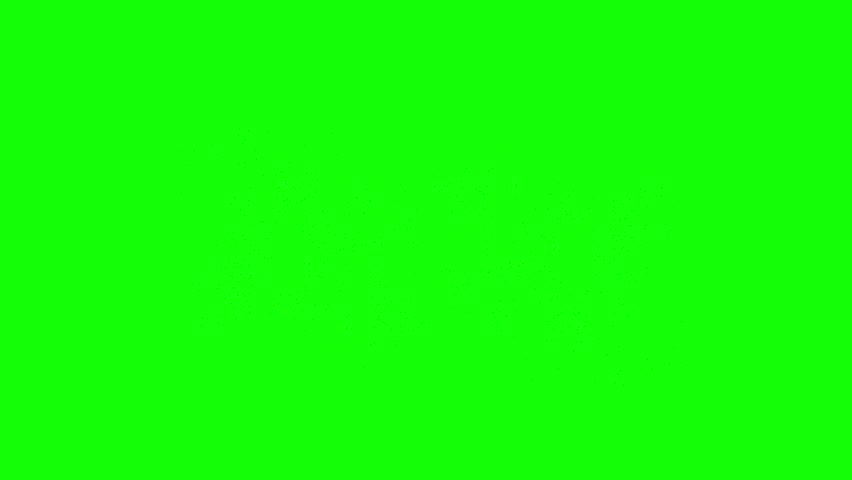 Large swarm of animated flies flying erratically across green screen. High detail insect motion, great for jungle, horror, decay, VFX scenes and chroma key usage.