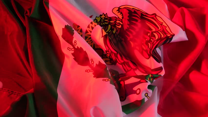 Smoke over the Mexican flag illuminated with police siren lights.