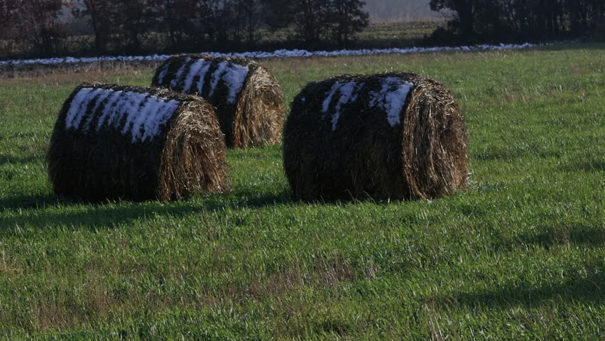 Panning shot of several round hay bales covered in melting snow, sitting in a vibrant green grass field during the transition from winter to spring.
