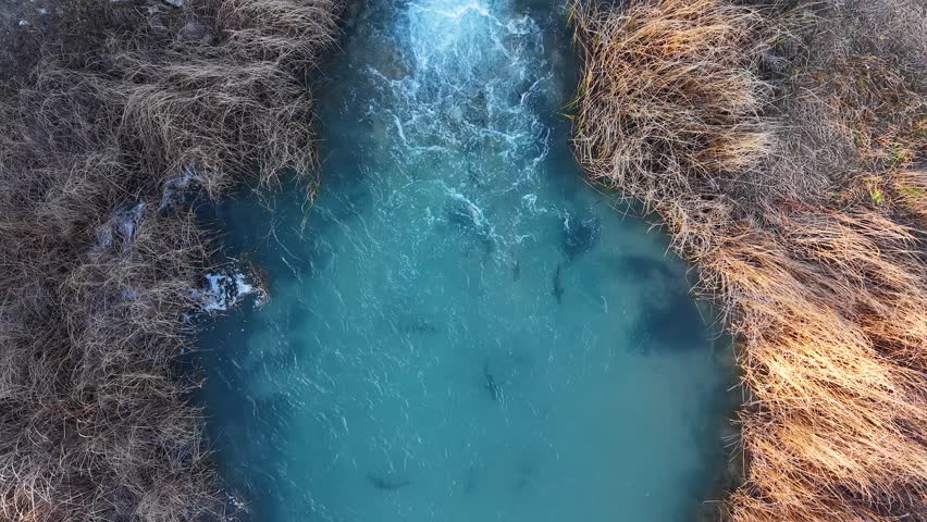 Drone footage of a cold turquoise river flowing between frosty banks and bare winter brush
