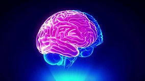 3D digital brain animation concept showcasing mental health innovation neuroscience thinking mind development futuristic head scan idea artificial intelligence science CGI vertical 4K loop - Powered by Shutterstock - Get 15% off with code: PIKWIZARD15