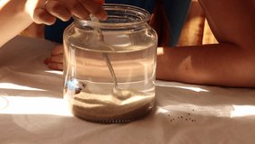Girl feeding a betta fish in a jar - Powered by Shutterstock - Get 15% off with code: PIKWIZARD15