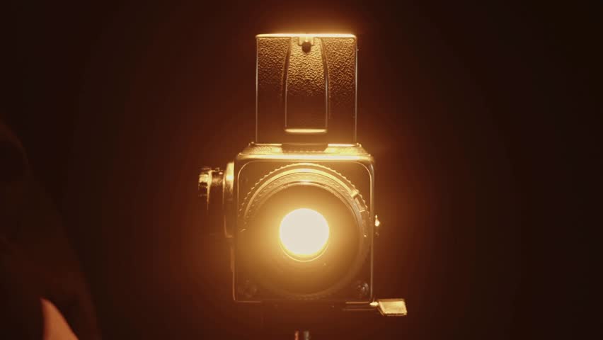 Shutterstock Video