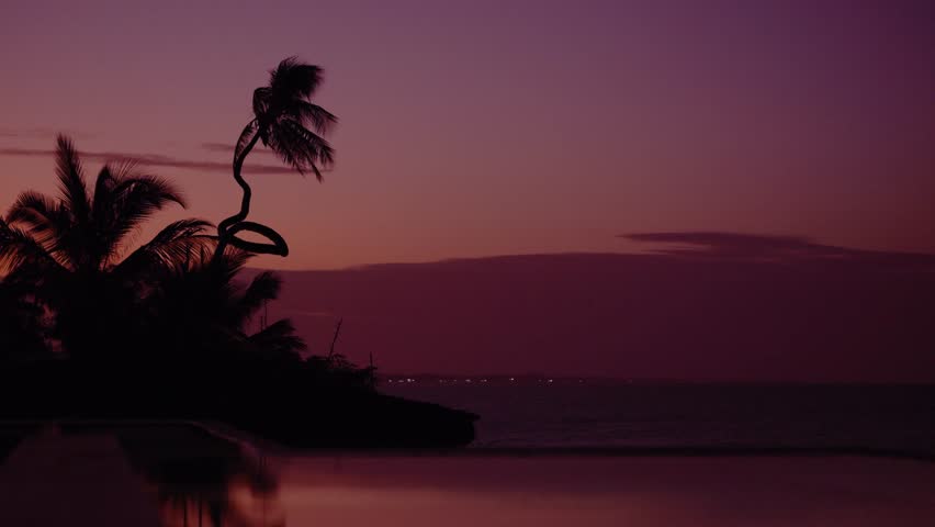 Tropical paradise sunset, beach with palm trees with a purple sky in Zanzibar