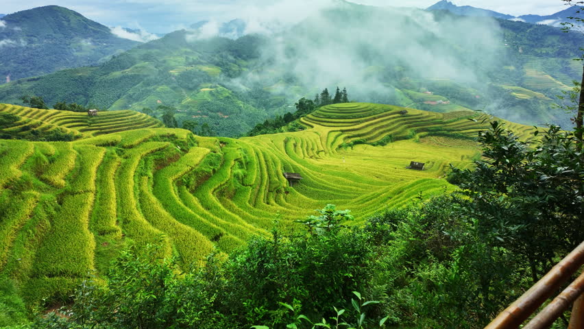 Timelapse of rice terrace field in harvest season Amazing fog flowing over mountains in sunrise sky Green agricultural fields in countryside at northern Vietnam